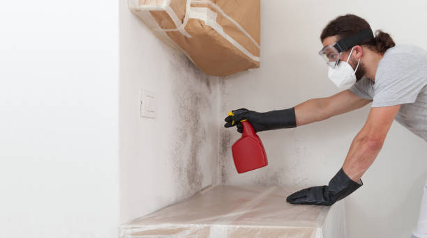 Professional Crawl Space Mold Removal technician working in Estes Park, CO
