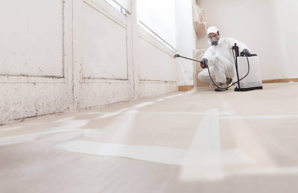 24/7 Emergency Crawl Space Mold Removal experts in Estes Park, CO