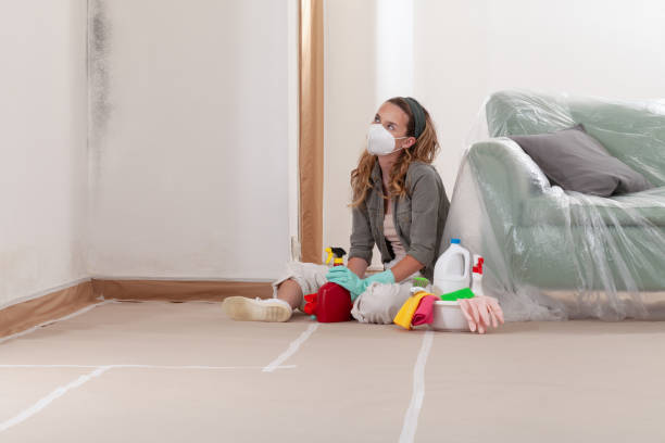 Reliable Crawl Space Mold Removal contractor in Estes Park, CO by WQB Mold Removal