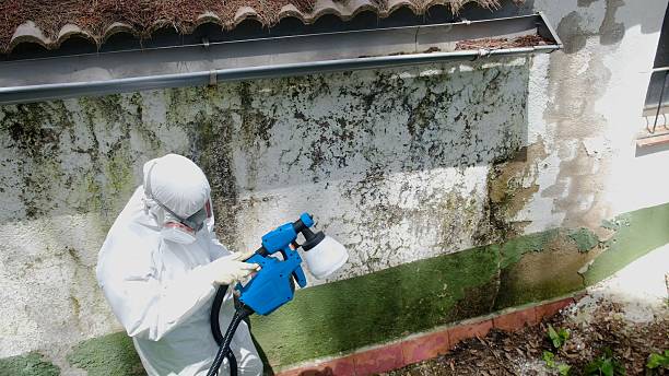 Top rated local Crawl Space Mold Removal specialists in Estes Park, CO